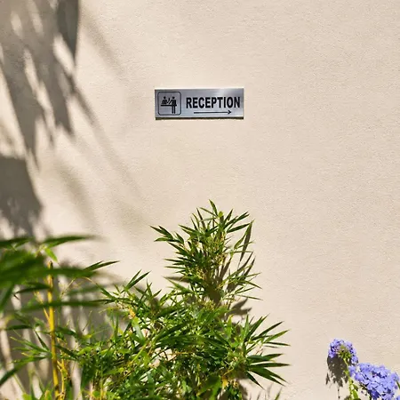Casa Enetiko *