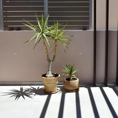 Casa Enetiko ホテル ハニア