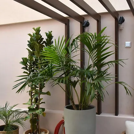 Casa Enetiko ハニア