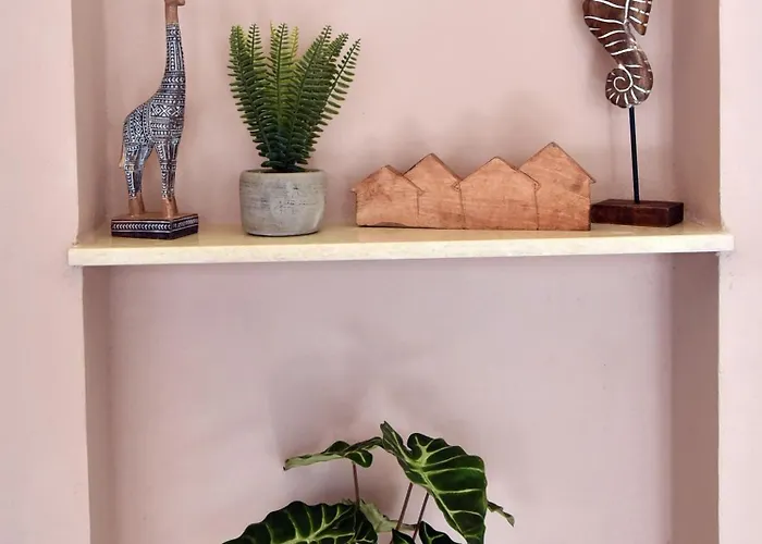 Hotel Casa Enetiko *